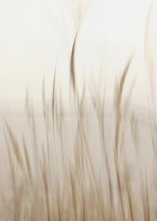 In the wind | Canvas