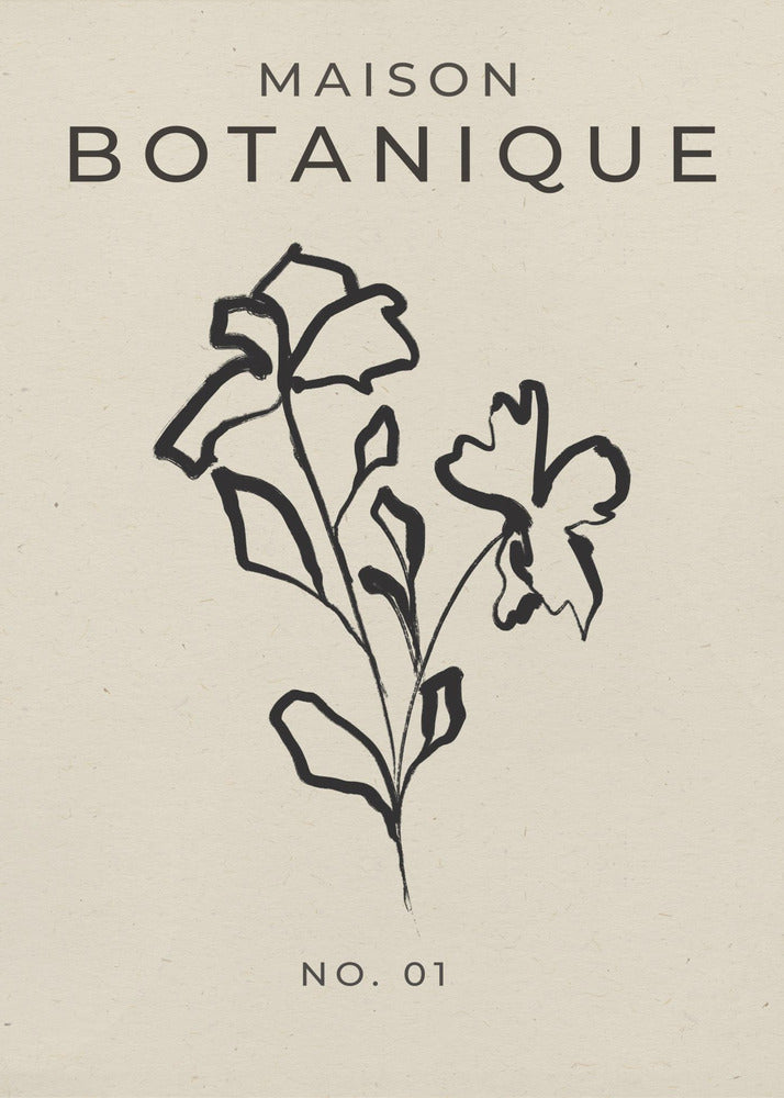 Botanical Sketch | Poster