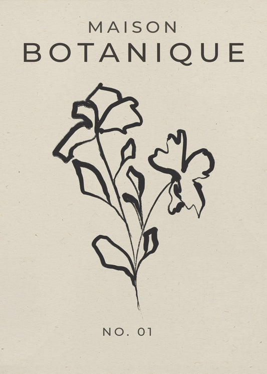 Botanical Sketch | Poster