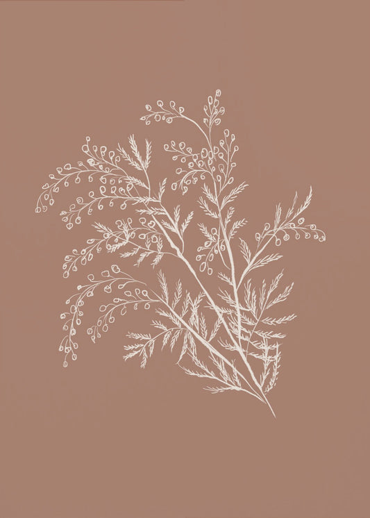 Acacia Botanical Branch | Canvas