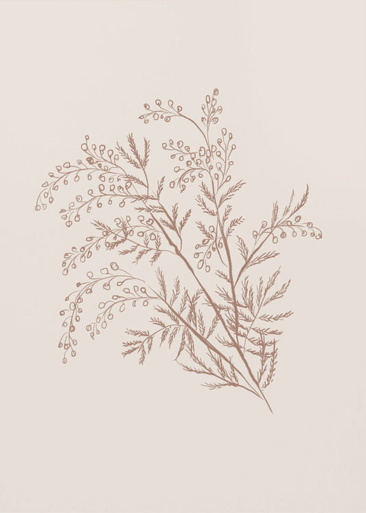 Acacia Botanical Branch | Canvas