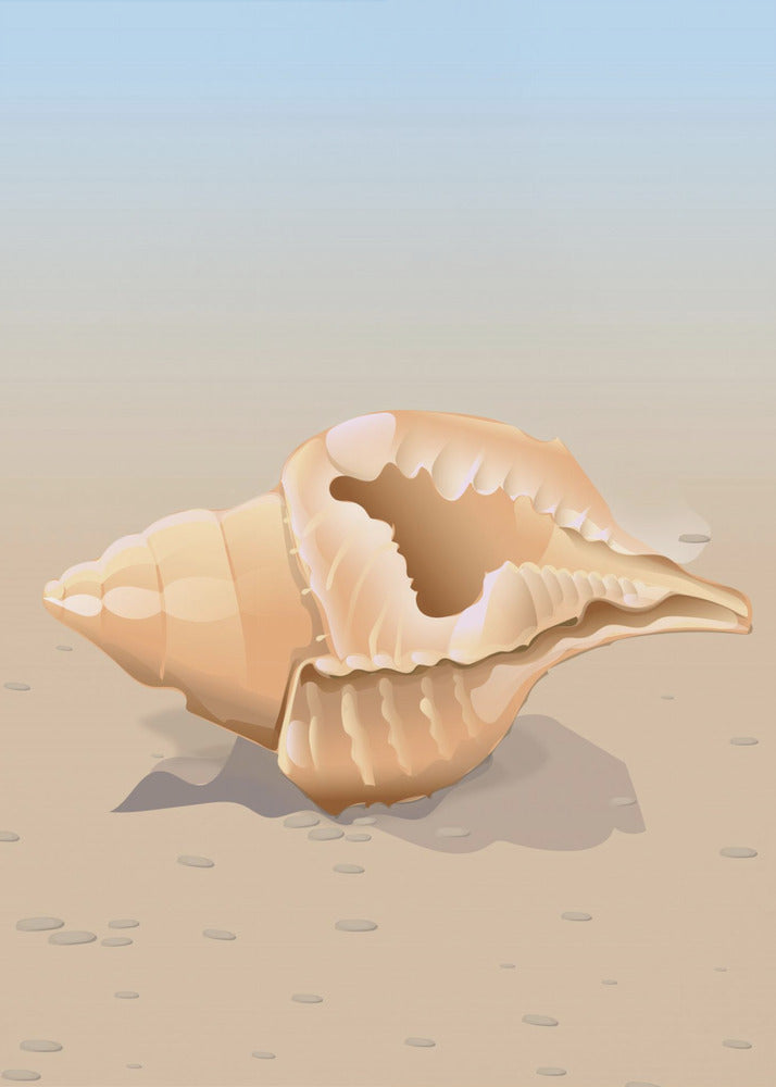 Seaside Shell | Canvas