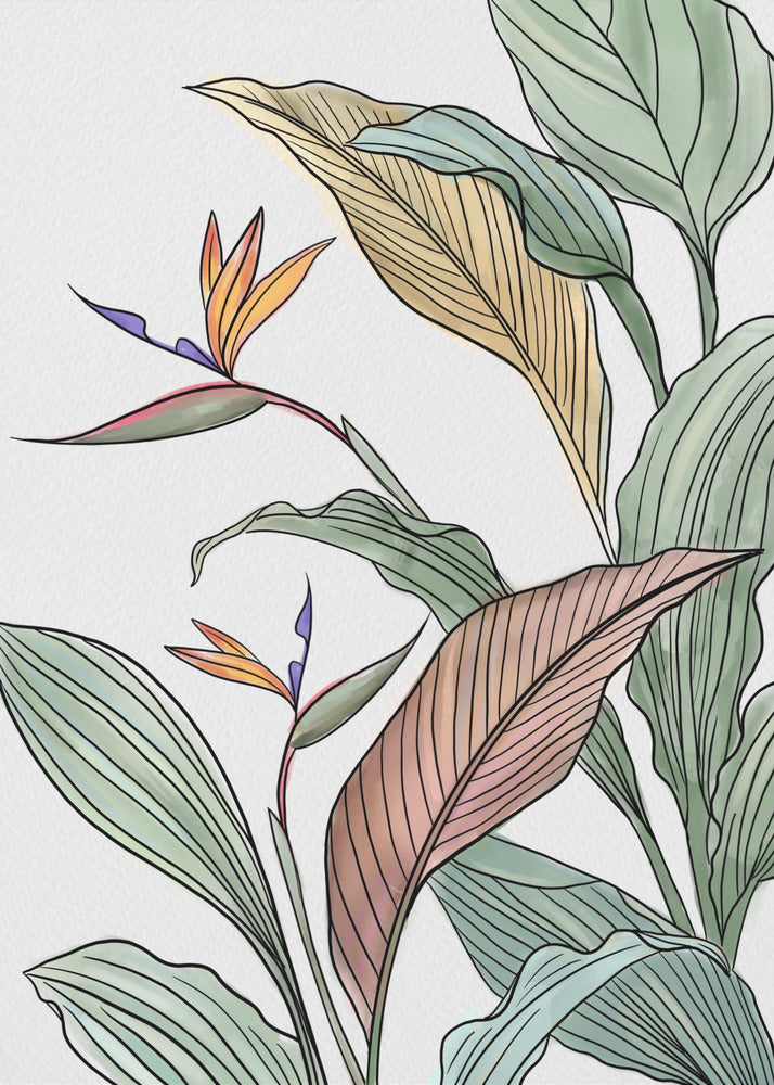 Brids of Paradise | Poster