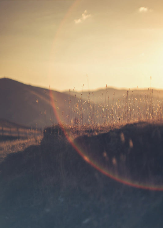 Golden Horizon Glow | Poster