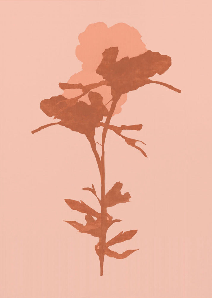 Floral Silhouette 7 | Poster