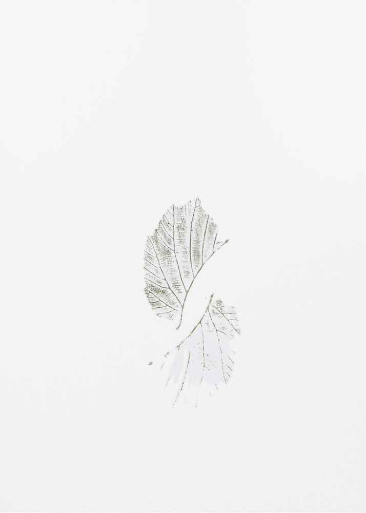Minimal leaves | Poster
