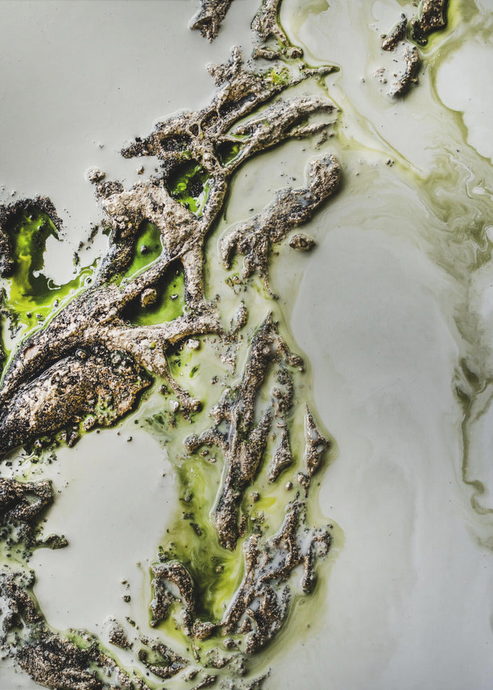 Contemporary Art - Olive Enigma -  Green accent | Poster