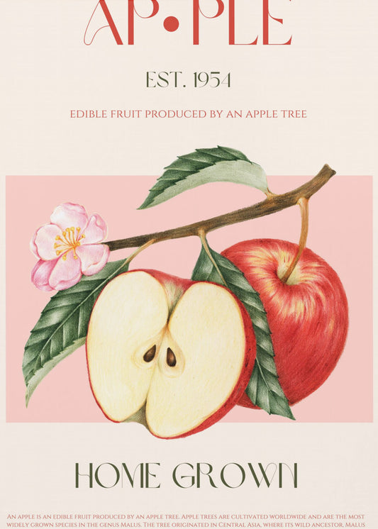 Harvested Apples | Canvas