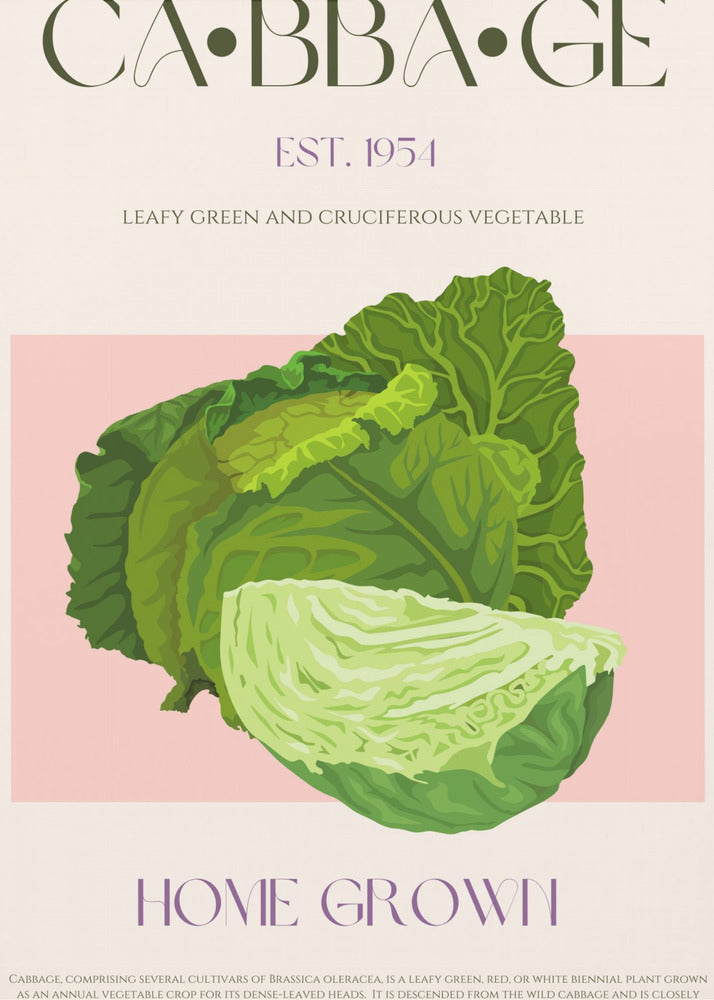 Crisp Cabbage Bliss | Canvas