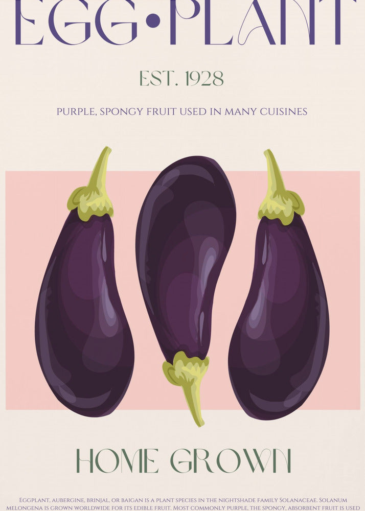 Three Vibrant Purple Eggplants | Canvas