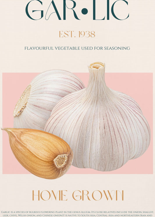 Garlic Essence | Poster
