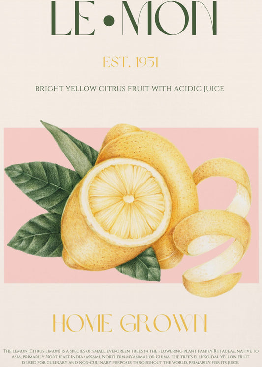 Vintage Style Sliced Lemon With Leaves | Poster