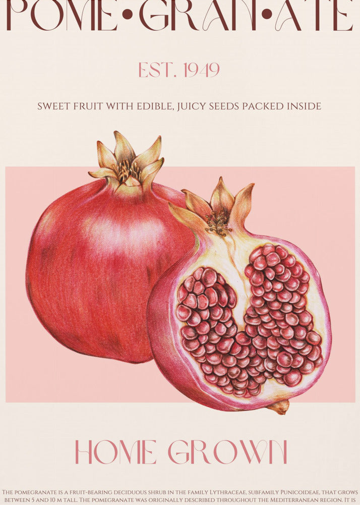 Juicy Pomegranate | Poster