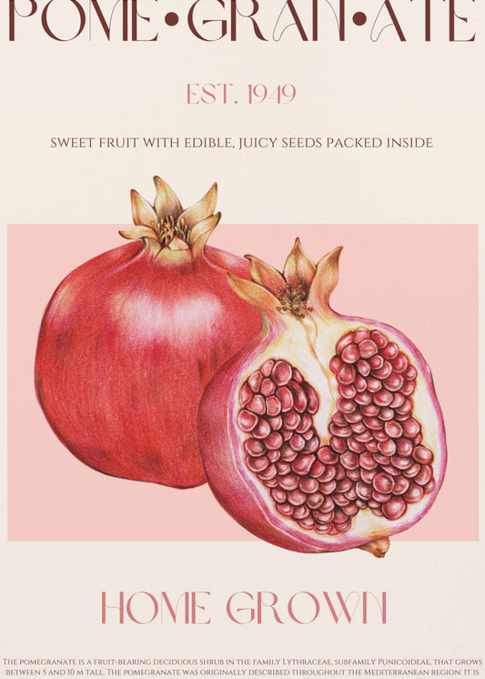 Juicy Pomegranate | Poster