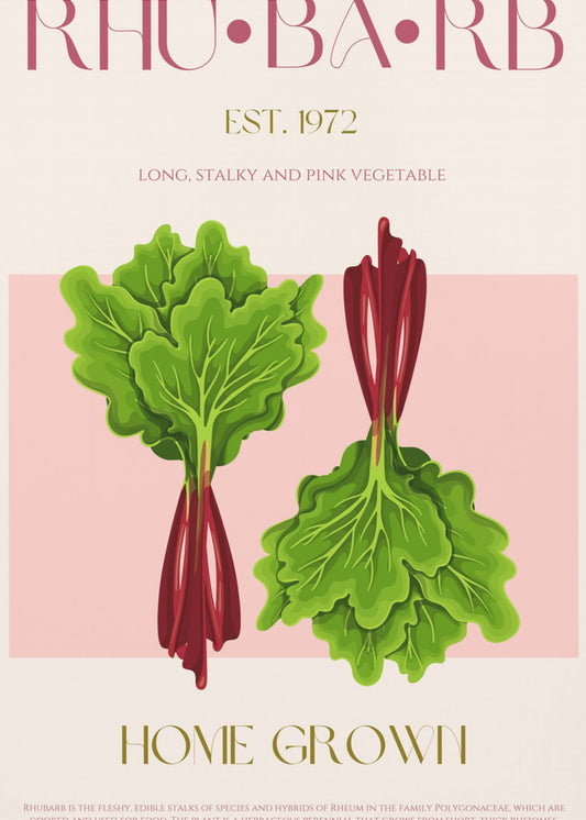Illustrated Rhubarb With Vibrant Pink Stalks | Poster