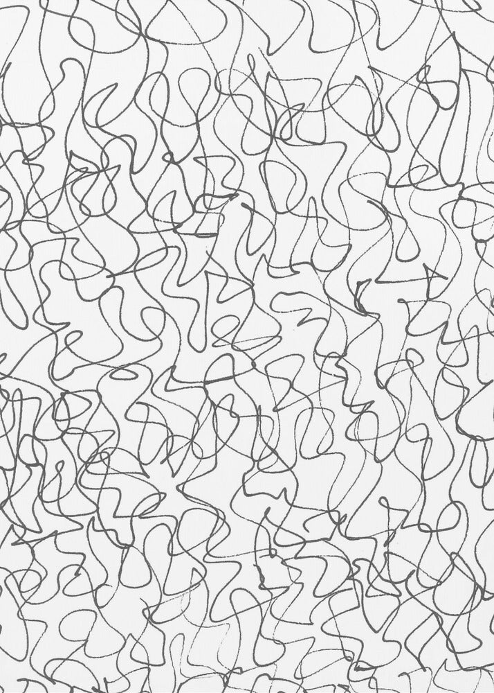 Chaotic Line 2 | Canvas