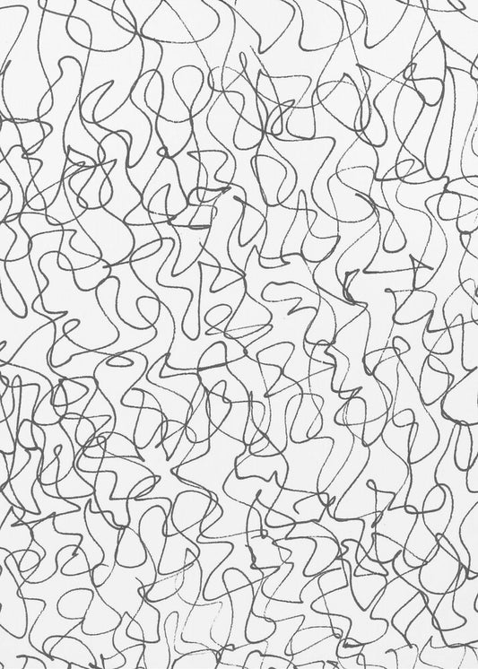 Chaotic Line 2 | Canvas