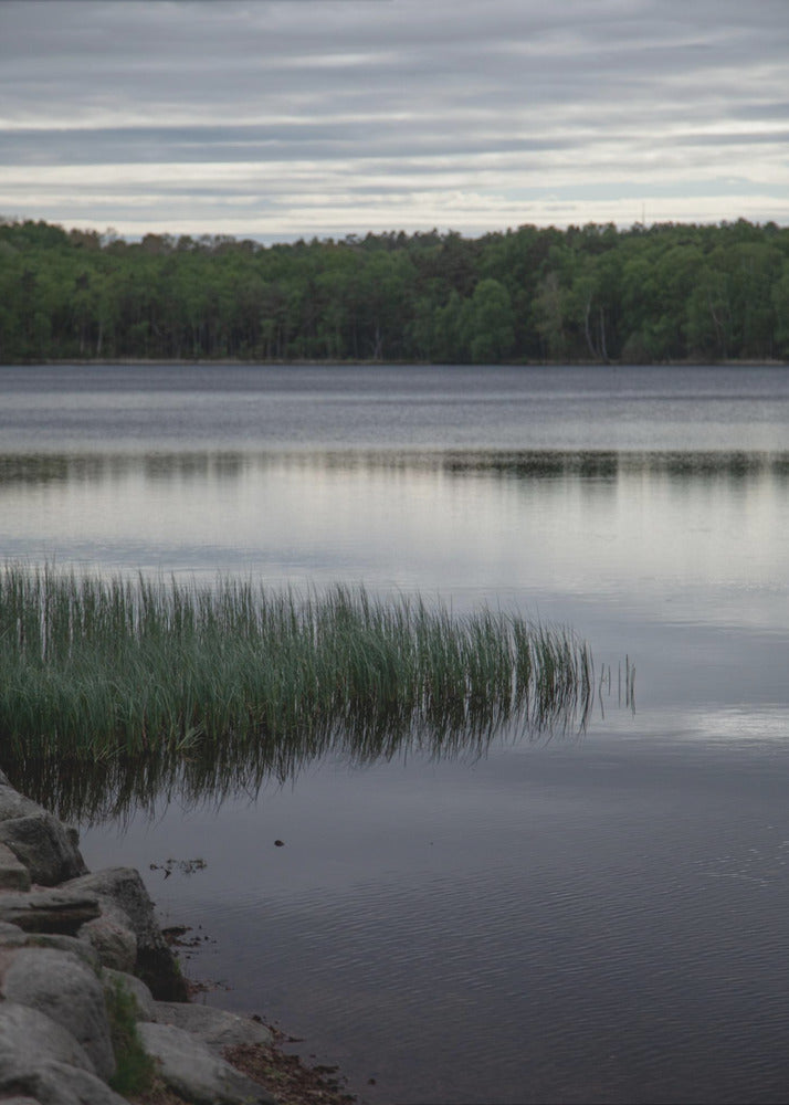 Somewhere In Sweden 2 | Canvas