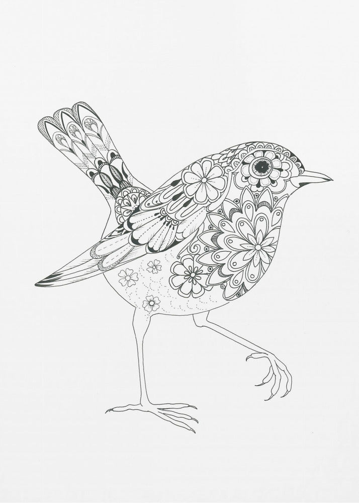 Flowered Bird Robin | Poster