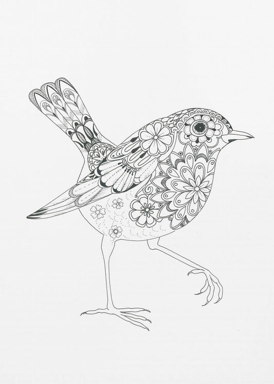 Flowered Bird Robin | Canvas