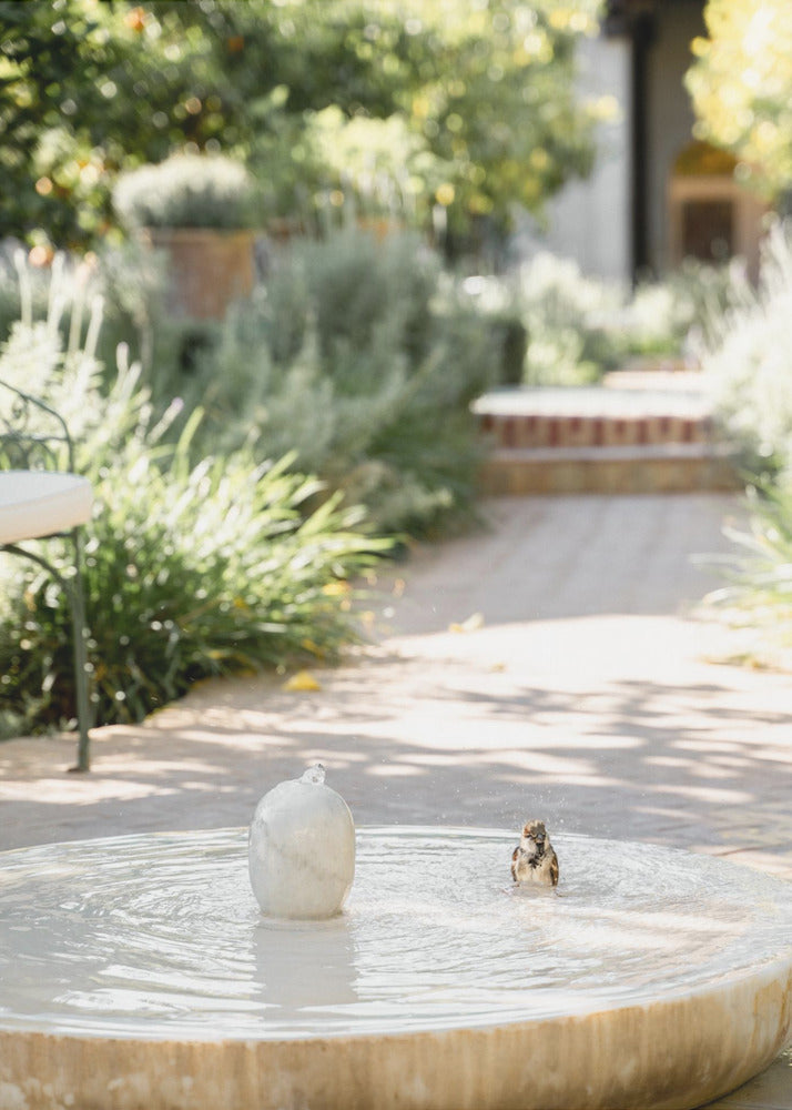 Feathers and Droplets | Canvas