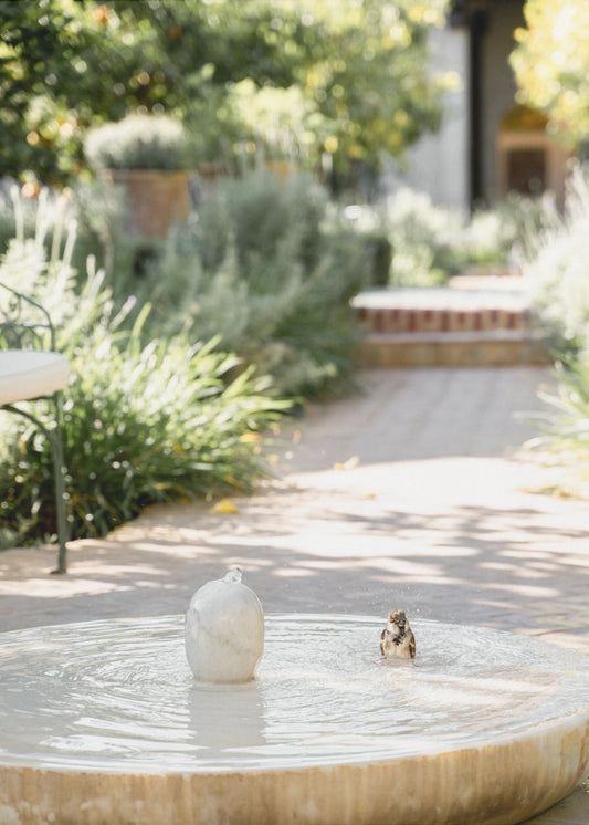 Feathers and Droplets | Canvas