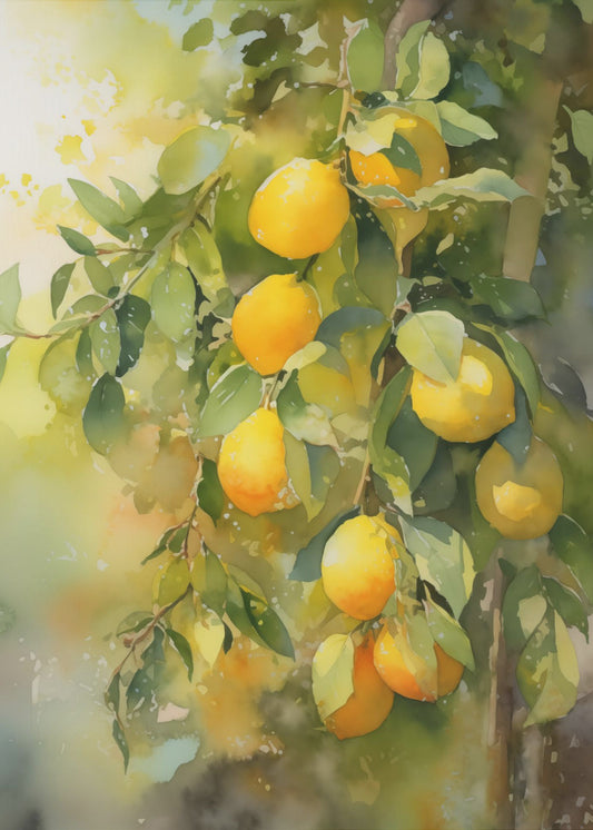 Lemon Tree | Poster