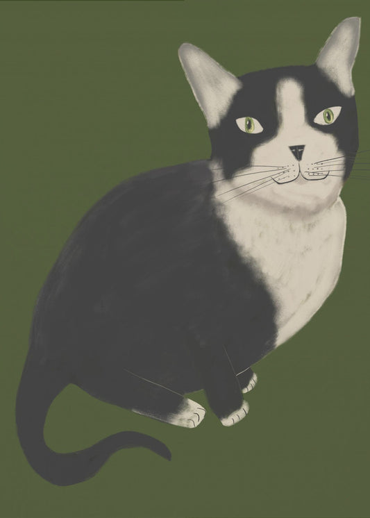 Mr Tuxedo Cat | Canvas