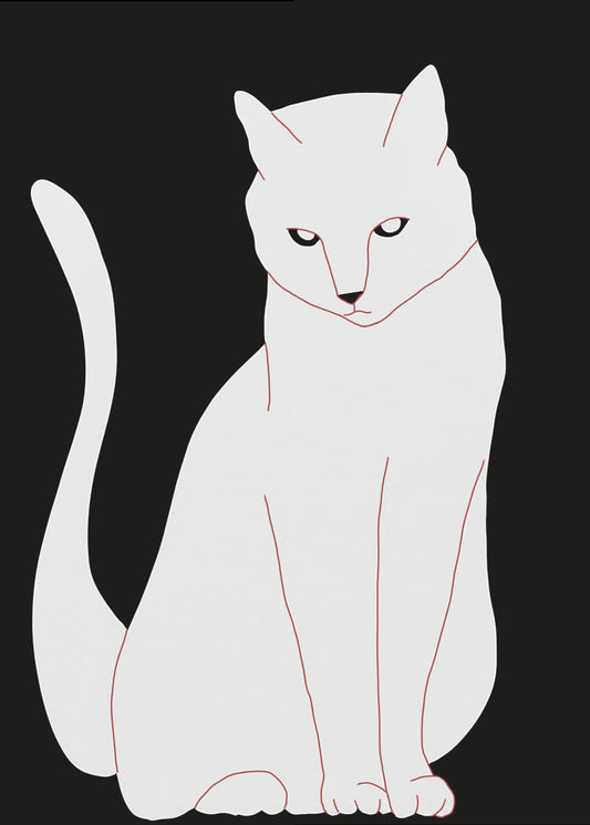 White and black cat | Poster