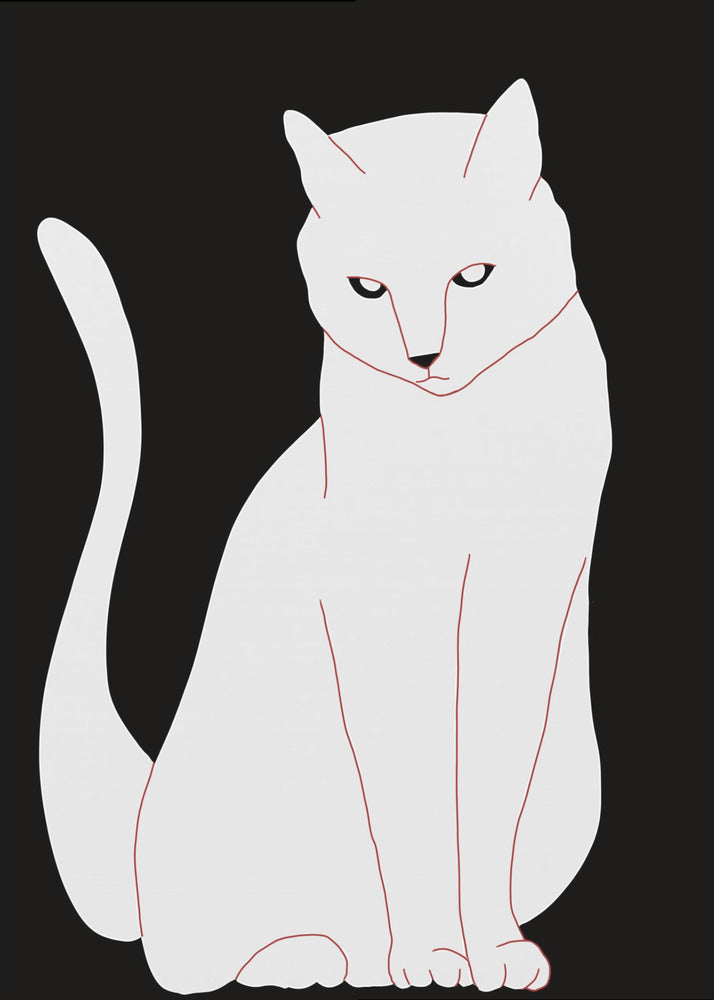 White and black cat | Canvas