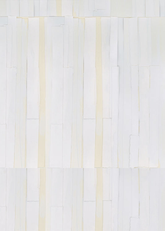 Tactile White On White 2 | Canvas