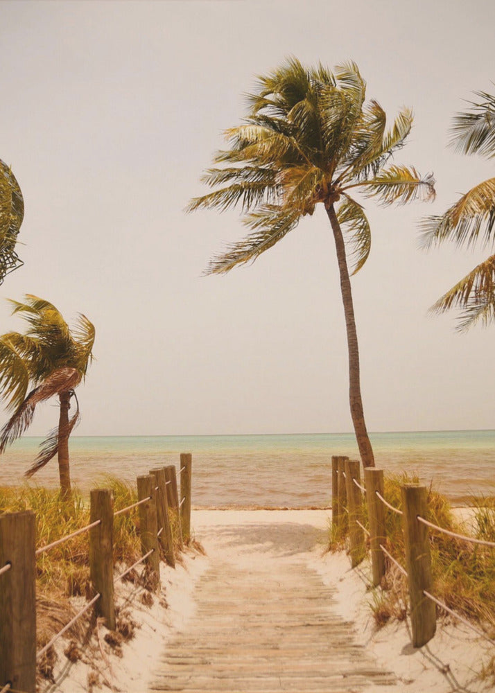 Tropical Paradise Vibes | Poster