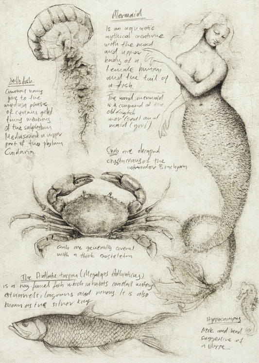 Mythical And Marine Creatures | Poster