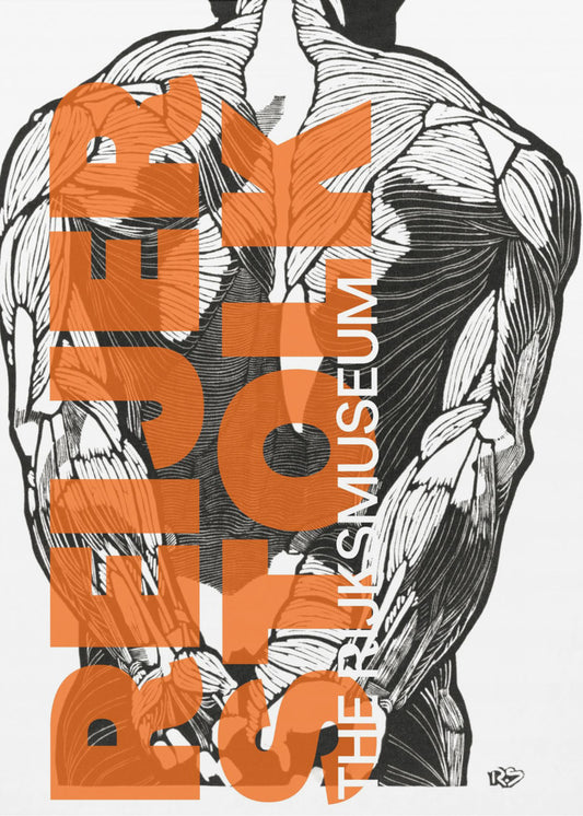 Anatomy Lines | Canvas