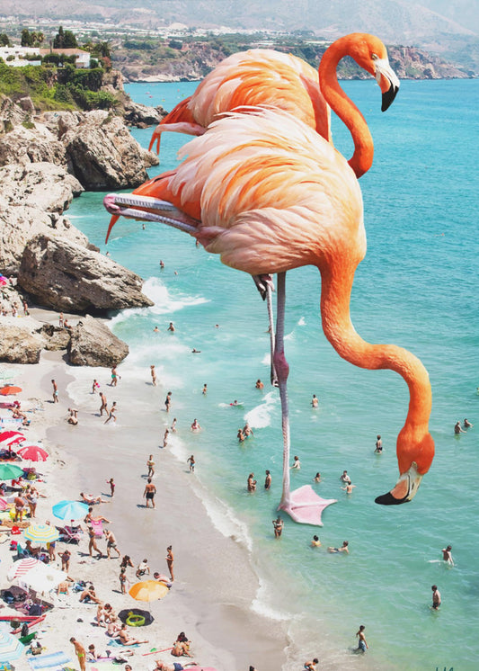 Flamingos On the Beach | Poster