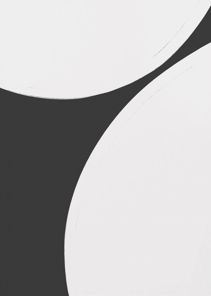 Monochrome Harmony | Canvas