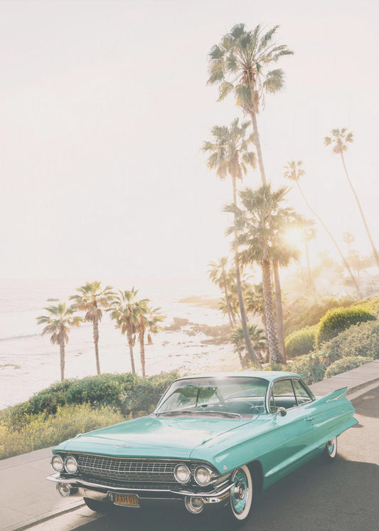 Malibu Classic | Canvas