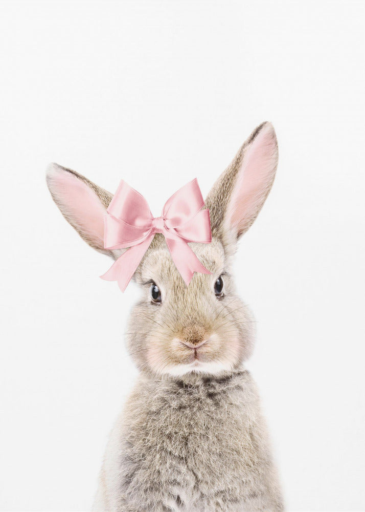 Bunny With a Bow | Poster