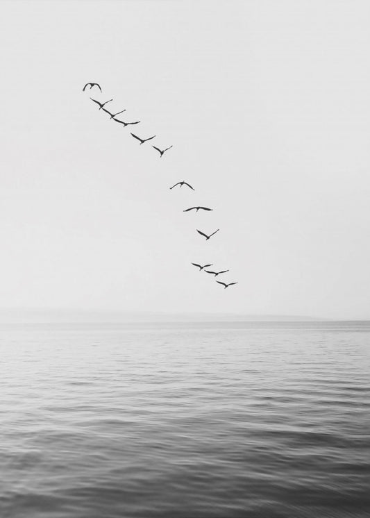 Flying Birds | Canvas