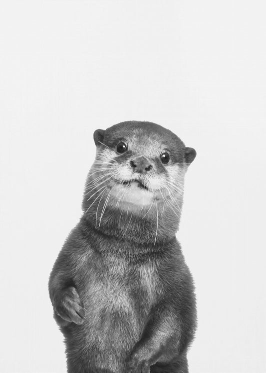 Otter | Poster