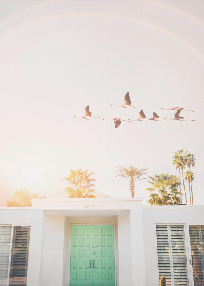 Flamingos In Palm Springs | Poster