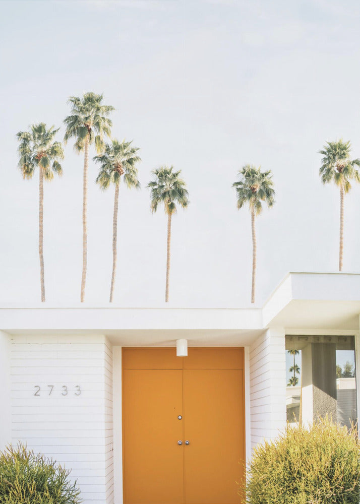 Palm Springs 1 | Canvas