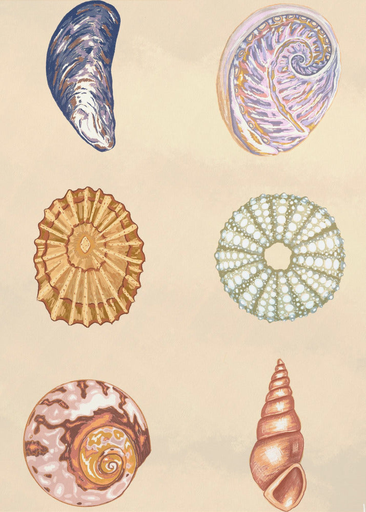 Treasures of the Tide | Canvas