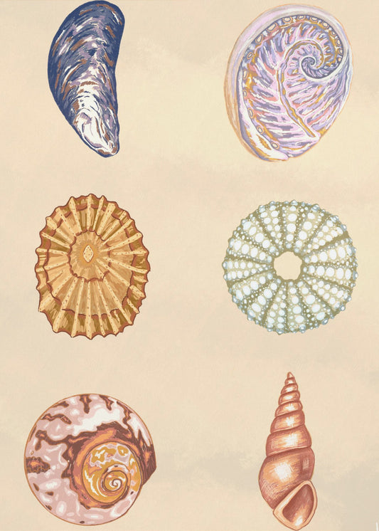 Treasures of the Tide | Canvas