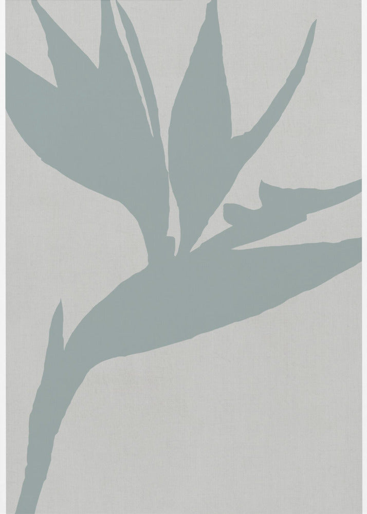 Bird of Paradise | Poster