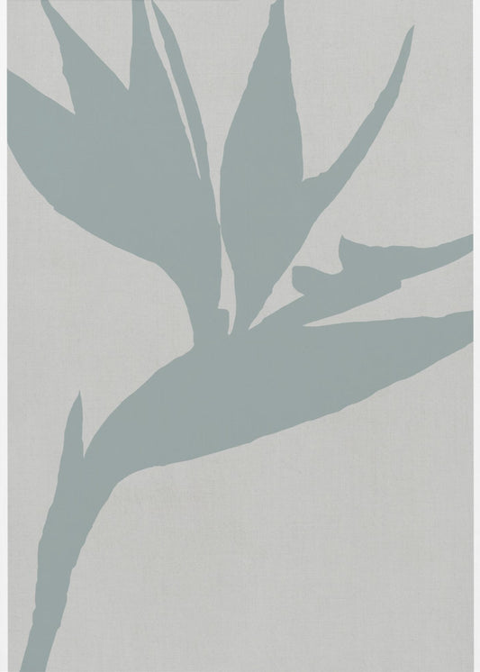 Bird of Paradise | Poster