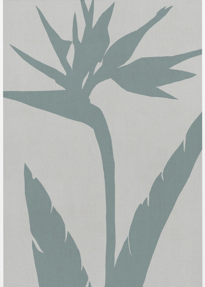 Bird of Paradise | Poster