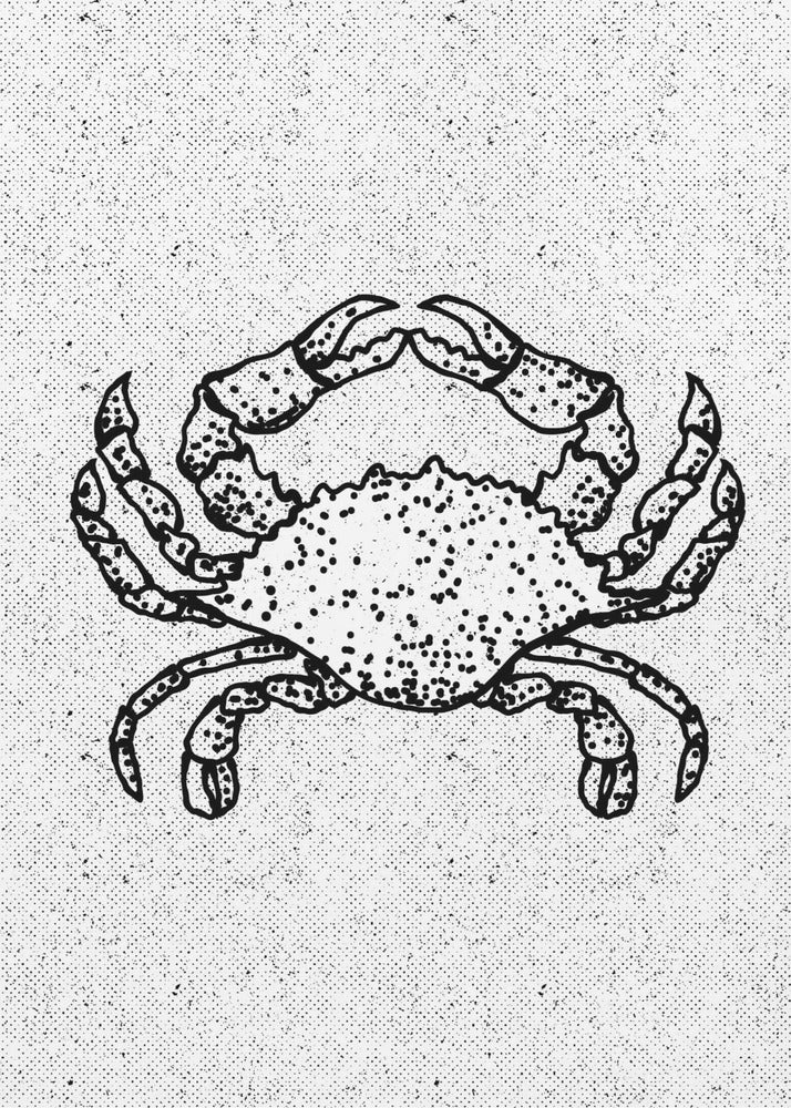 Black And White Crab | Poster