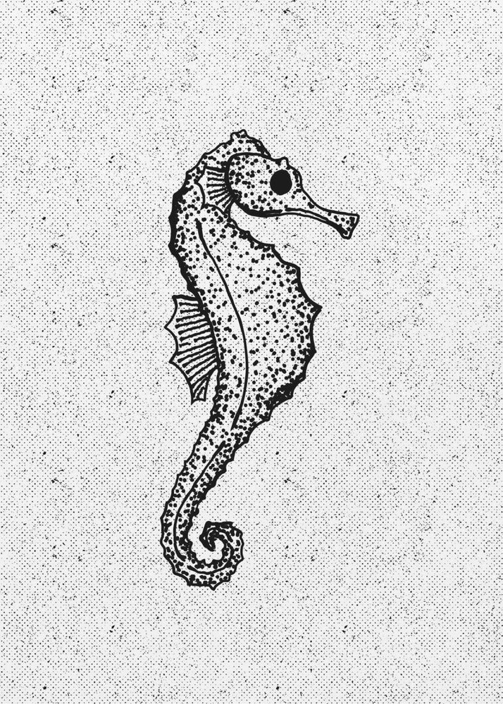 Whimsical Seahorse | Poster