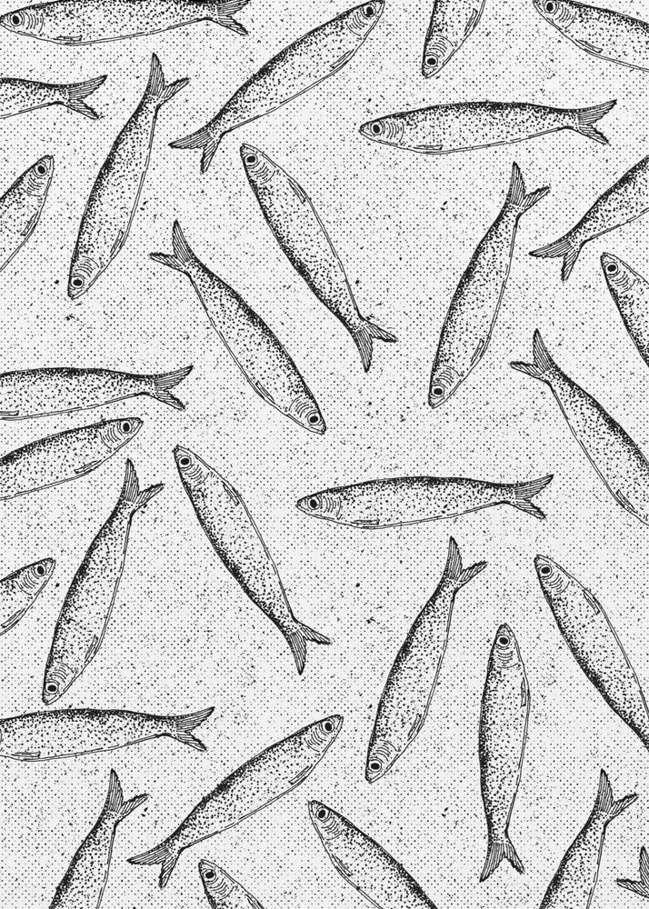 Sardine Fish Pattern | Poster